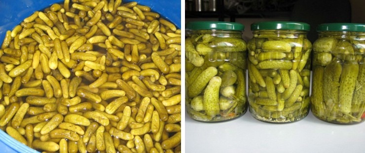 تصویر  خط تولید کنسرو میوه / خطوط فرآوری سبزیجات ،ماشین آلات تولید کنسرو گوجه فرنگی و ترشیجات