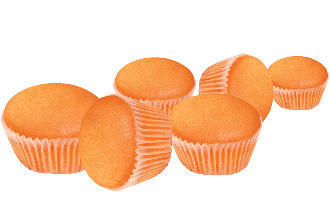 تصویر  شایلی تابستان