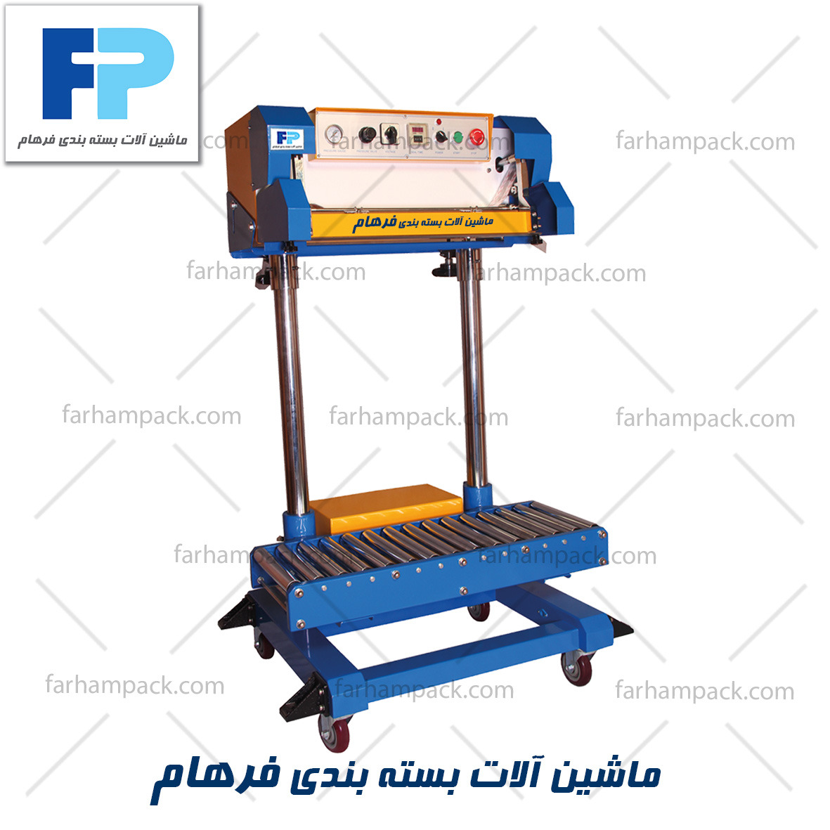 Picture of سیل کیسه ای