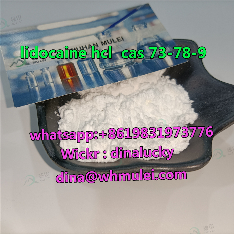 تصویر  Manufacture lidocaine hcl powder supplier cas73-78-9 with lower price sell 73 78 9lidocaine (hcl) powder fast and safe to USA