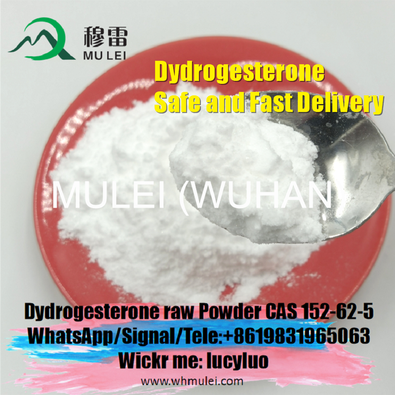 تصویر  Supply Pharmaceutical Dydrogesterone Powder CAS 152-62-5 Raw Steroid Powder