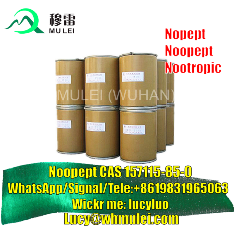 تصویر  Supply Noopept Powder CAS 157115-85-0 99% Amino Acids Noopept Safe Pass Canada