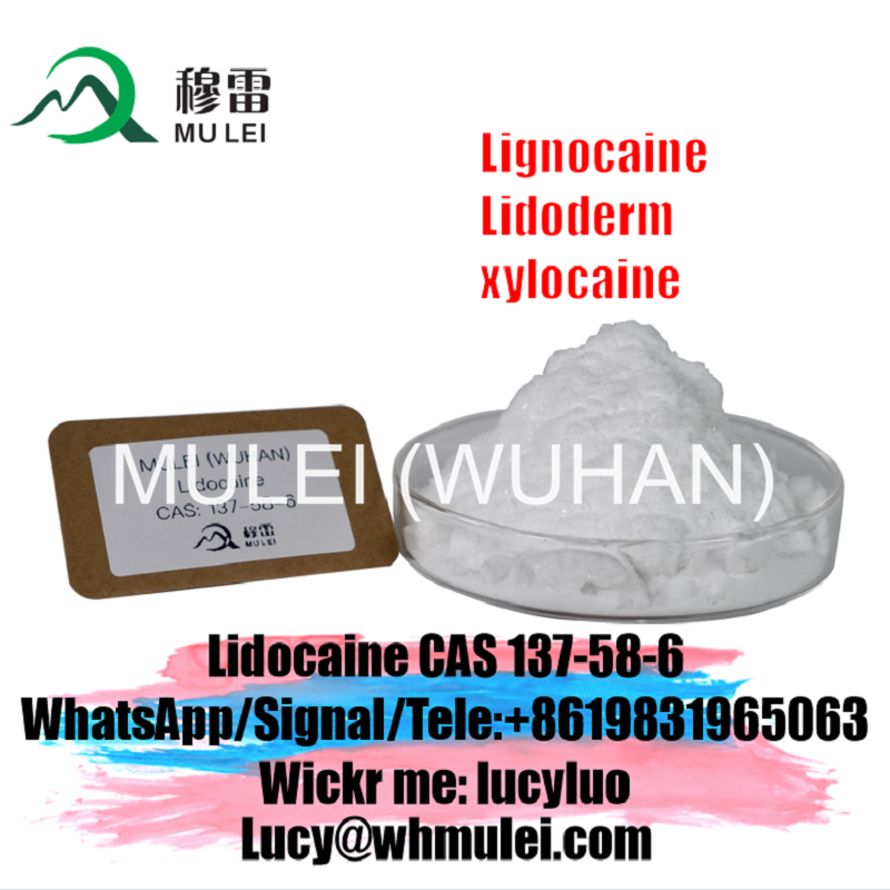 تصویر  Supply Purity Lidocaine Powder CAS 137-58-6 Lidocaine Base With Safe Delivery