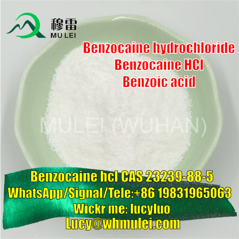 Picture of High Purity Pharmaceutical Raw Material Powder CAS 23239-88-5 Benzocaine Hydrochloride