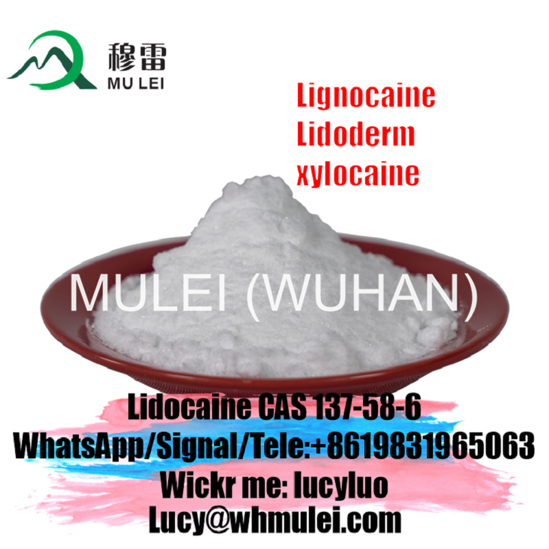 تصویر  Supply Purity Lidocaine Powder CAS 137-58-6 Lidocaine Base
