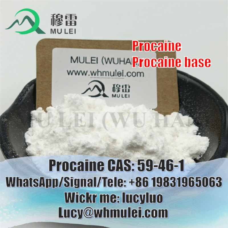 تصویر  Anti Inflammatory Drugs Procaine Powder CAS 59-46-1 Procaine Local Anesthetics