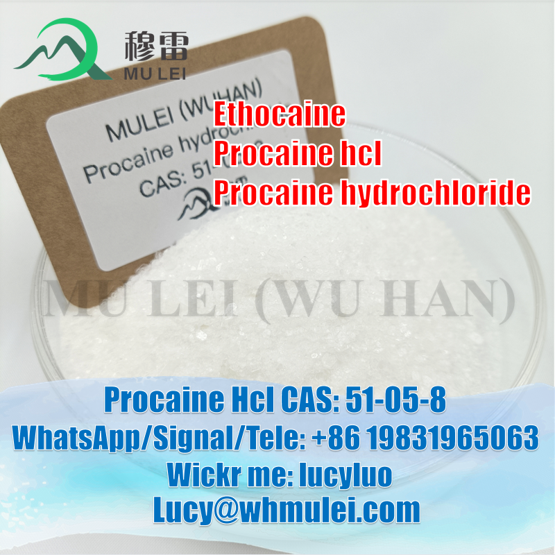 تصویر  Local Anesthetic CAS 51-05-8 Procaine Hydrochloride Powder Procaine HCl