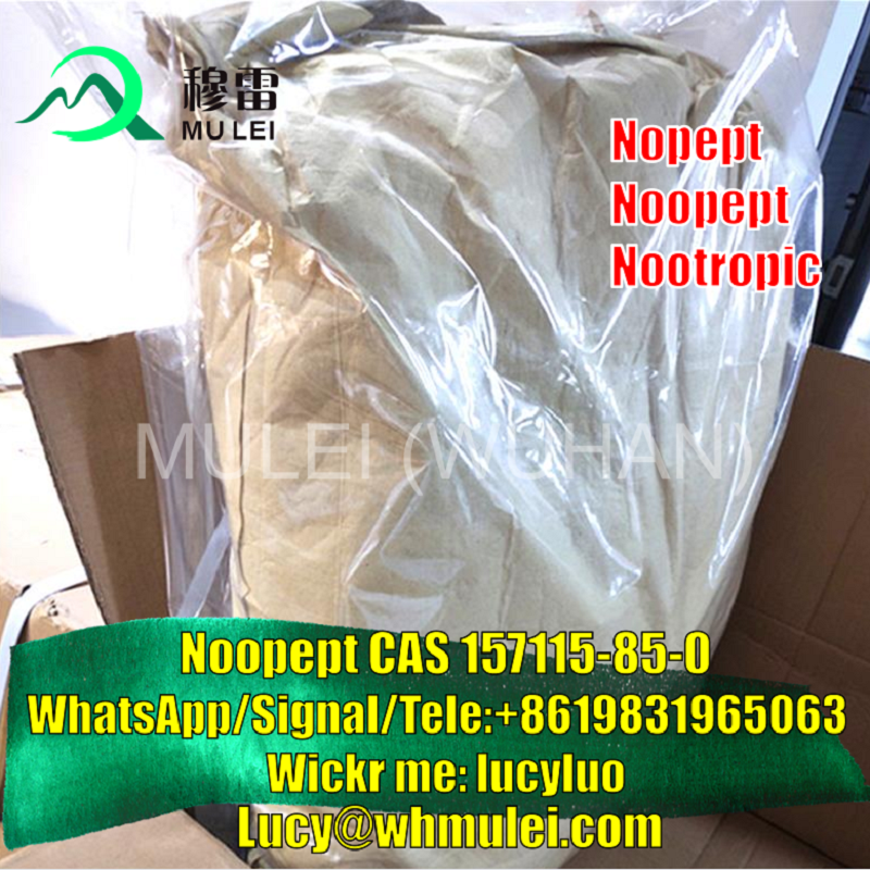 تصویر  Supply Raw Material Noopept CAS 157115-85-0 Nootropics Supplement