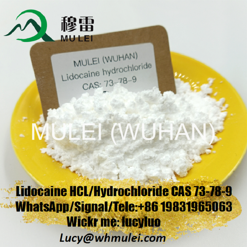تصویر  Supply Purity Lidocaine hydrochloride CAS 73-78-9 with Safe Delivery