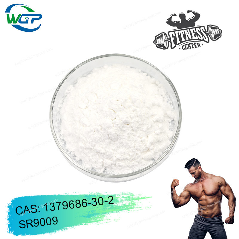 تصویر  Bodybuilding and loss weight Sarms powder 99% purity YK-11/GW0742/RAD140/ACP-105/SR9009 S4/S23 LGD-4033/MK677/MK-2866/GW501516