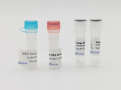 Picture of Selling ELISA Kits,Antibodies,Cells for Biotech research
