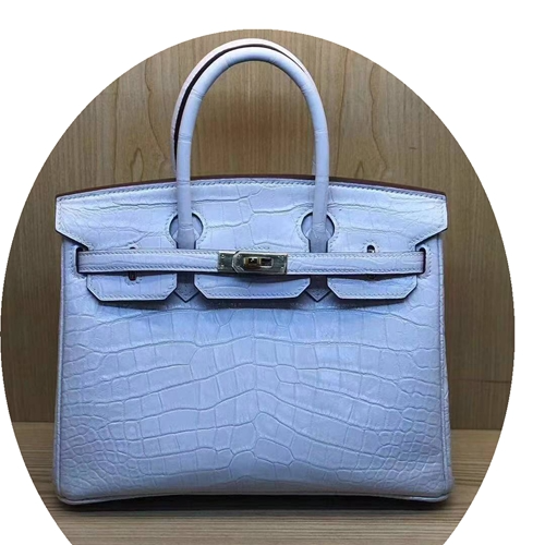 Picture of Himalayan Bag Women's Crocodile Leather Women's Bag 2022 New Luxury Brand Leather Bag Hand-Held Platinum Bag