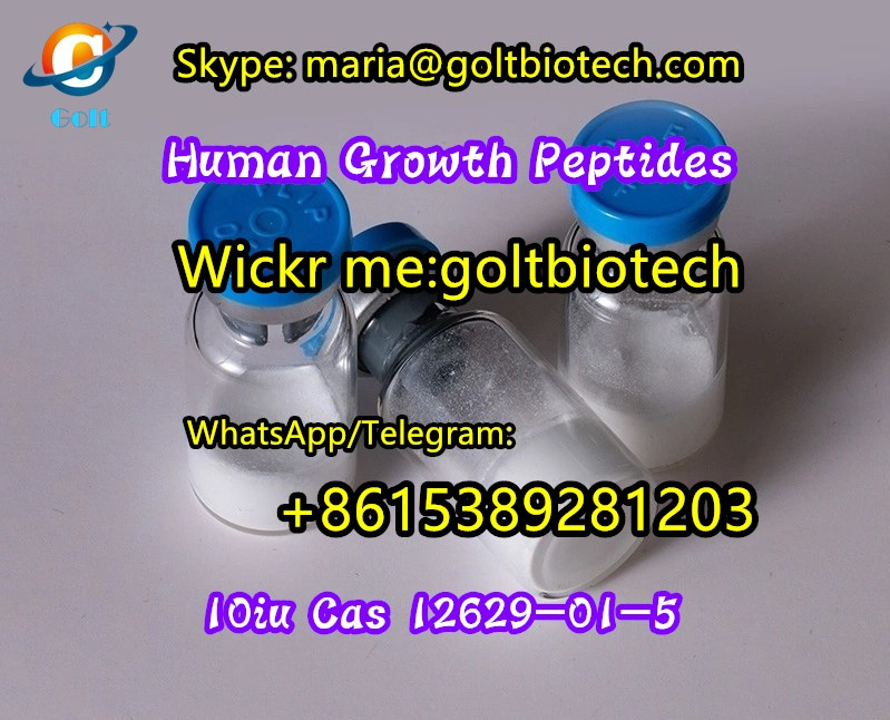 تصویر  HGH Human Growth Hormone ghrp-2, ghrp-6, Mgf, peg-mgf, ctc-1295 Semorelin, Hexarelin, pt-141, Melanotan, Epithalon, Selank, TB500, Epitalon, Ipamorelin peptides supplier 100% safe delivery Wickr me:goltbiotech