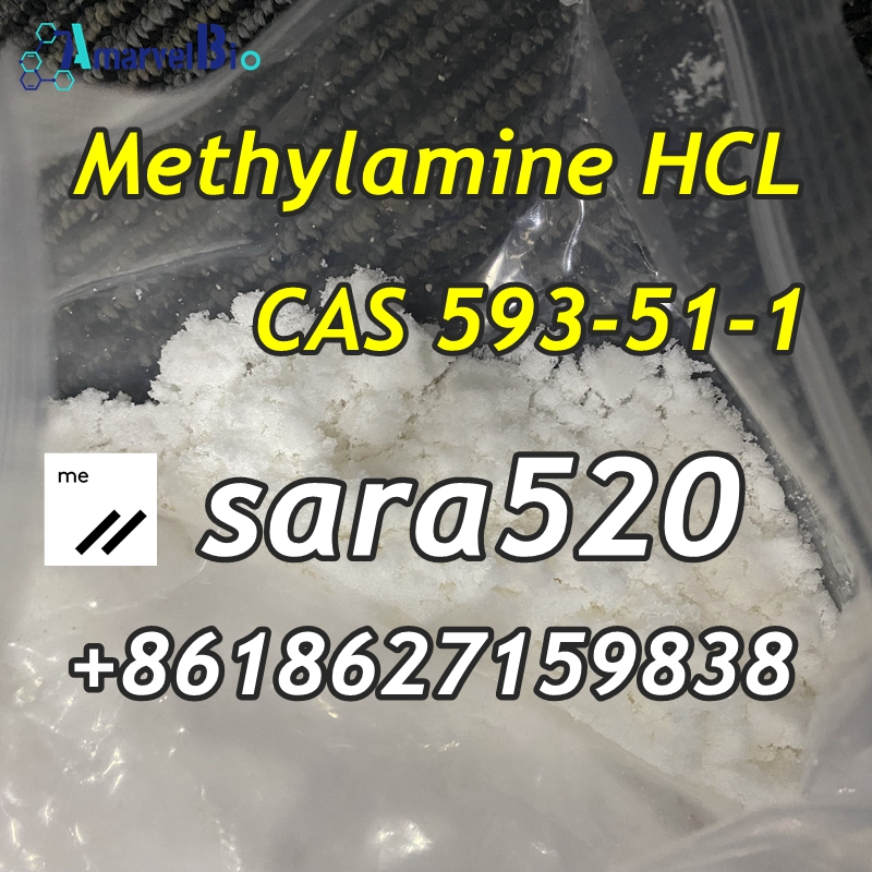Picture of CAS 593-51-1 Methylamine Hydrochloride Manufacturer Supply