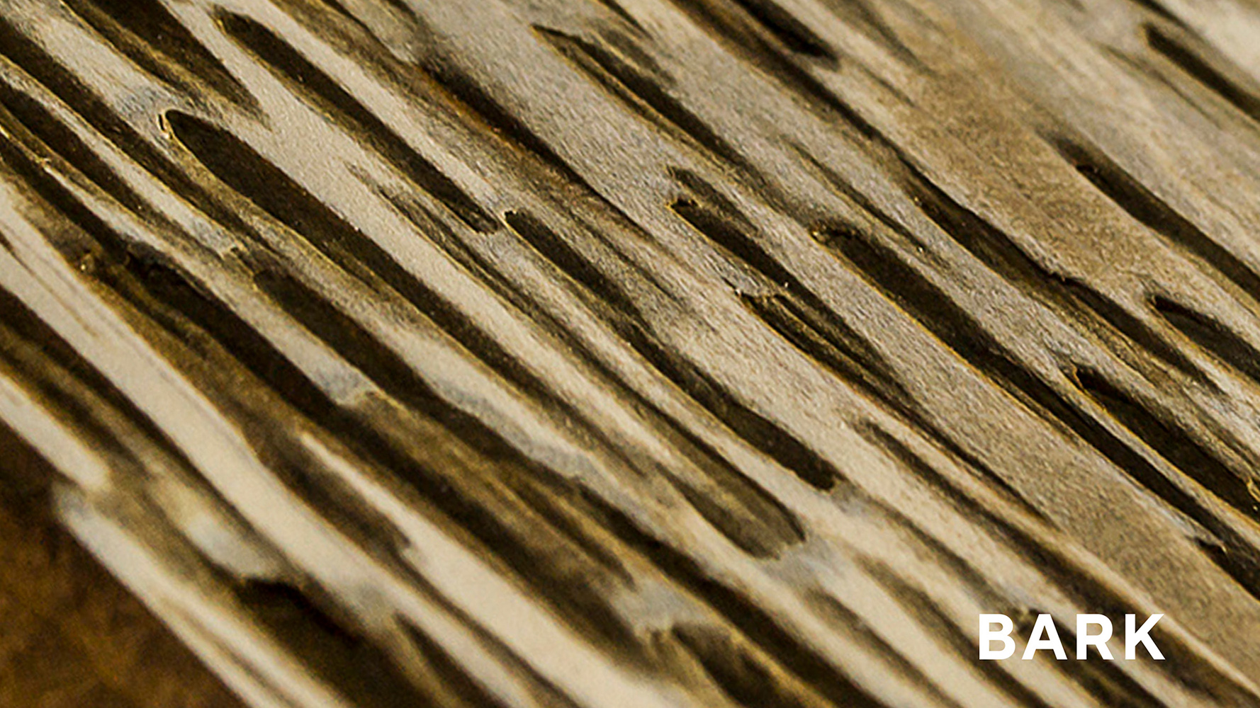 تصویر  تخته سه بعدی / Raggy Wood  BARK/ طرح اورگان