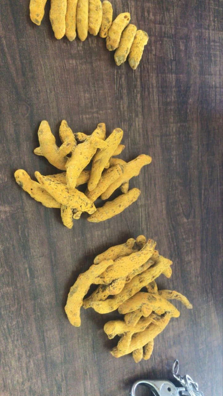 تصویر  زردچوبه