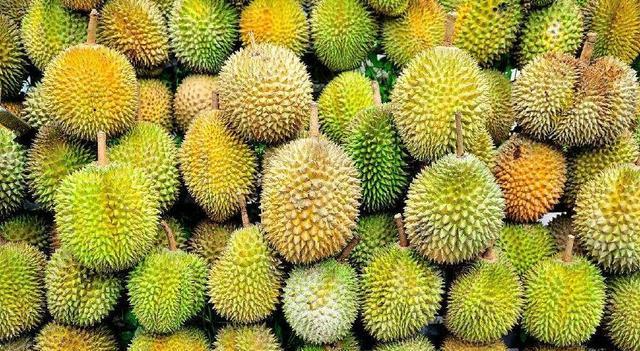 Picture of Snake Fruit