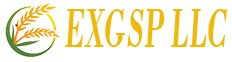 EXGSP GmbH