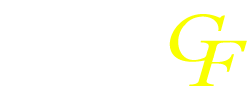 فیلتر گوهری
