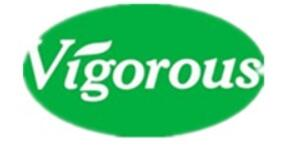 Changsha Vigorous-Tech Co., Ltd.