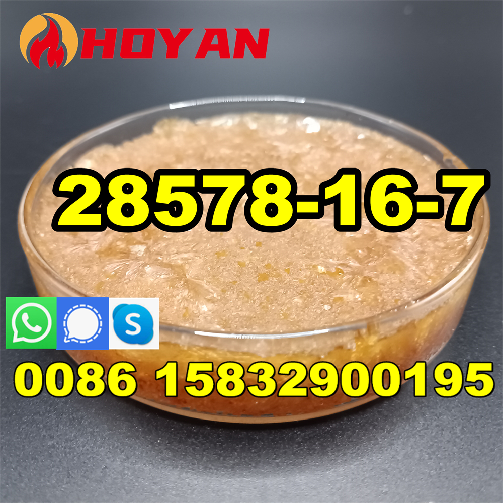 تصویر  Canada market buy new pmk oil CAS 28578-16-7 oil in stock