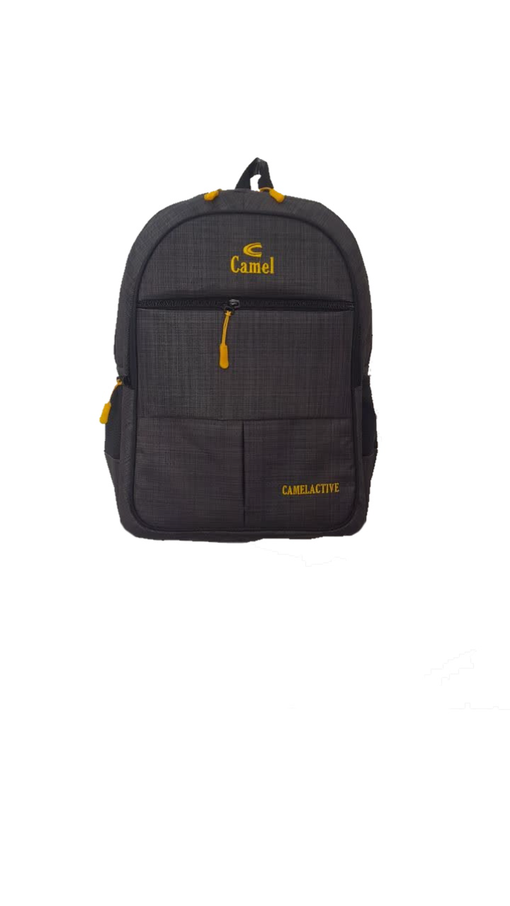 تصویر  کیف کوله پشتی مدرسه ای طرح Camel