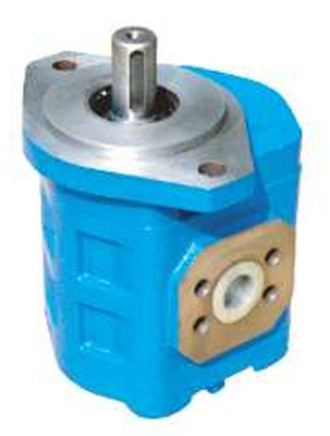 Picture of Cast Iron Gear Pump