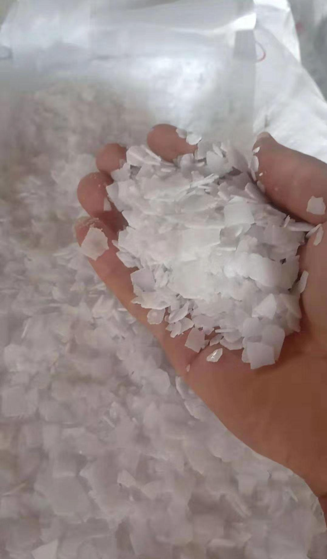 تصویر  سود پرک