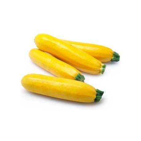 تصویر  کدو خورشتی ارگانیک زرد