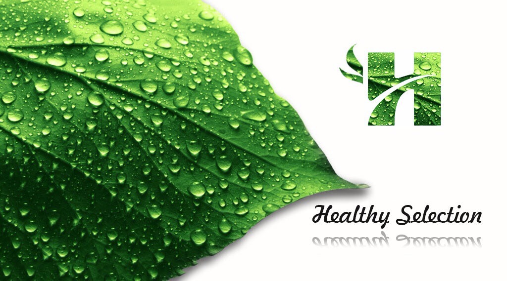 Healthy Selection LTd