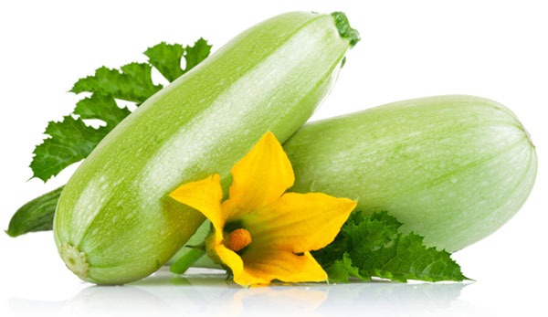 تصویر  کدو سبز رسمی یا کدو مسمایی