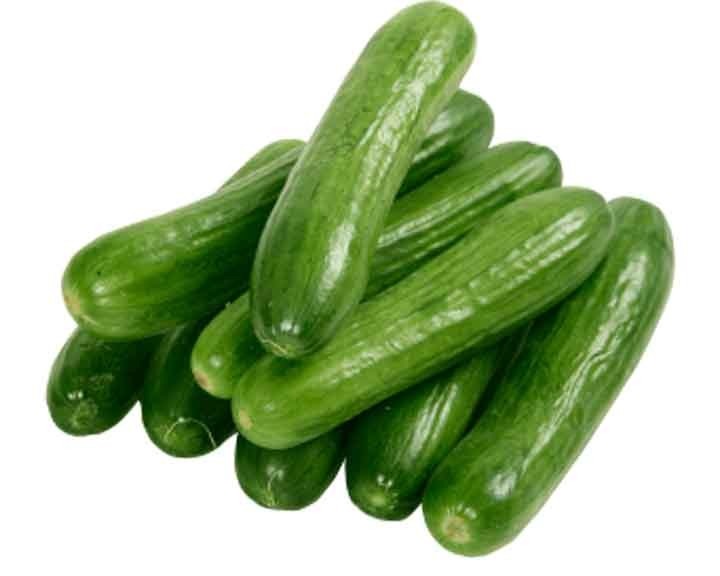تصویر  خیار سبز قلمی