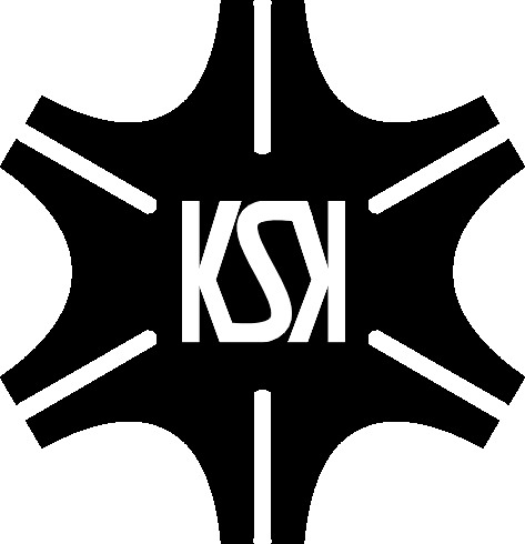 کاراصنعت سازان نوین