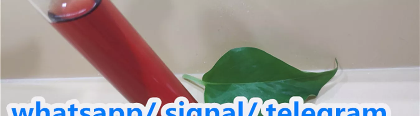 Ecasb